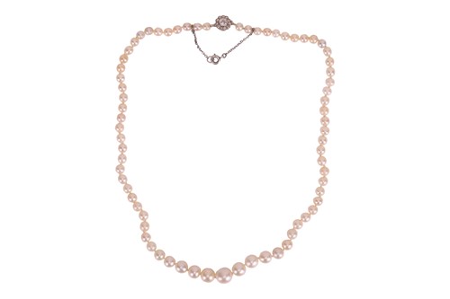 An Edwardian Natural Saltwater Pearl Necklace