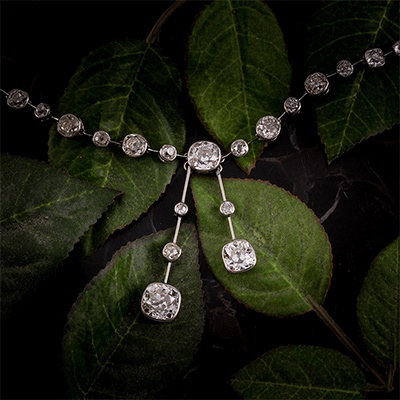 Diamond Necklace on Green Leaves