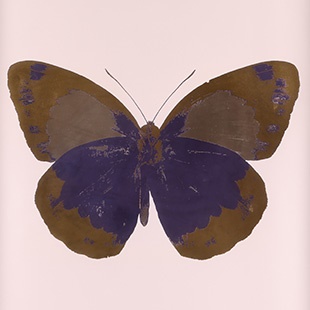 Sell Damien Hirst Art