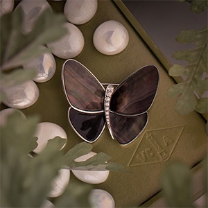 Sell Van Cleef & Arpels Brooch