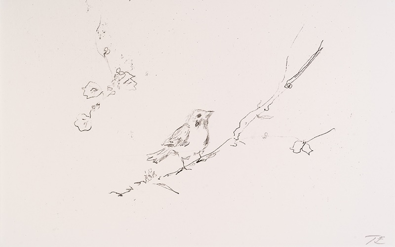 Tracey Emin Sam & Jay's Birds