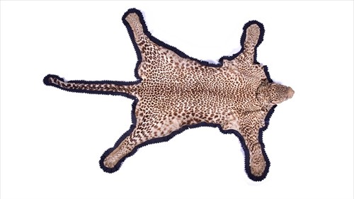Lot 239 - Taxidermy: African Leopard (Panthera pardus),...