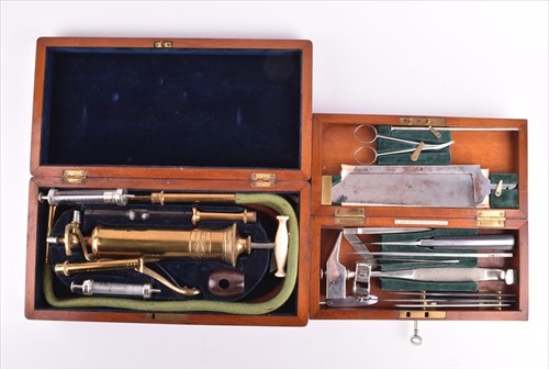 Lot 214 - A late 19th century cased set of stomach...