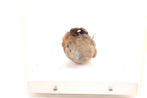 Lot 177 - Nancy Fouts (American, 1945-2019) 'Bird Nest',...