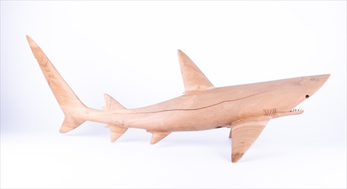 Lot 292 - A carved wooden study of a shark 20th century,...
