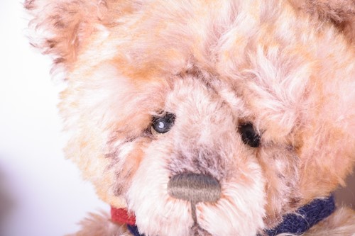 Lot 68 - Two Isabelle Collection 'Charlie Bears' teddy...