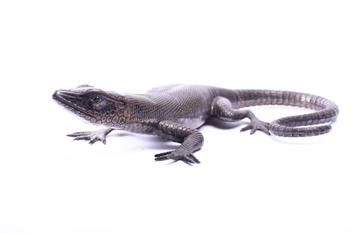 Lot 319 - A decorative and unsual white metal lizard,...