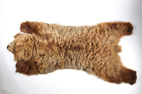 Lot 399 - Taxidermy: a large brown bear skin floor rug,...