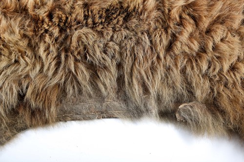 Lot 399 - Taxidermy: a large brown bear skin floor rug,...