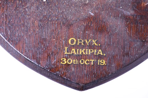 Lot 492 - Taxidermy - a shoulder mounted Oryx, on shield...