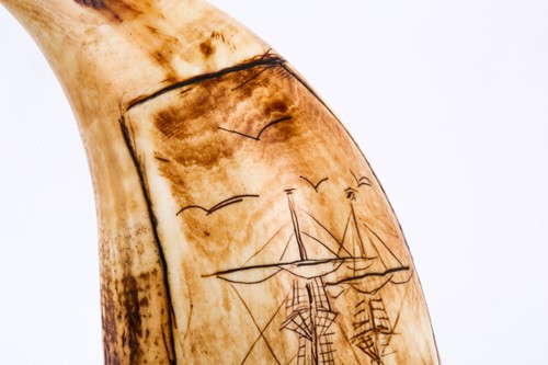 Lot 447 - A carved Scrimshaw sperm whale tooth, carved...