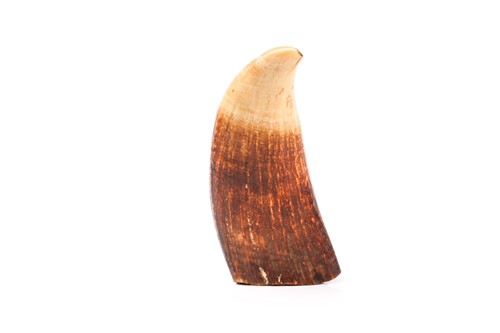 Lot 447 - A carved Scrimshaw sperm whale tooth, carved...