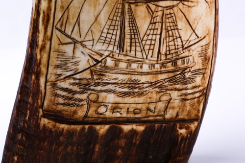 Lot 447 - A carved Scrimshaw sperm whale tooth, carved...