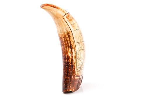 Lot 447 - A carved Scrimshaw sperm whale tooth, carved...