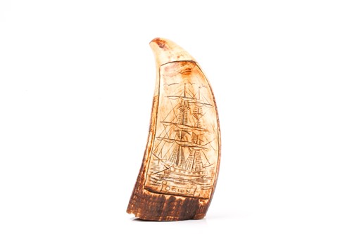 Lot 447 - A carved Scrimshaw sperm whale tooth, carved...