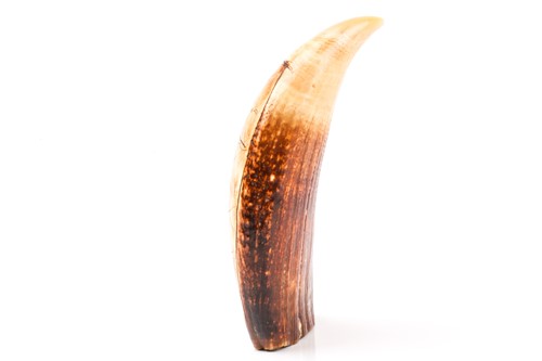 Lot 447 - A carved Scrimshaw sperm whale tooth, carved...