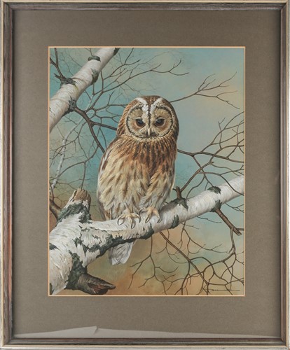 Lot 38 - Basil Ede (1931-2016), 'Tawny Owl', gouache...