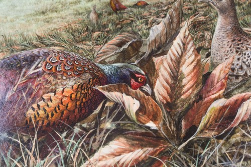 Lot 57 - Ken Turner (born 1926), a study of pheasants...