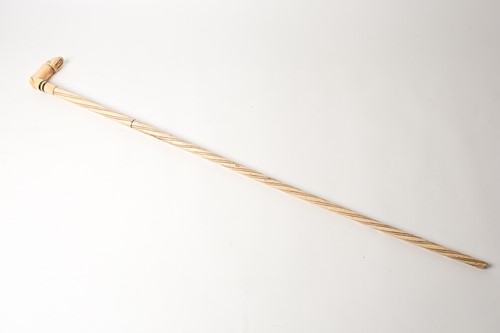 Lot 357 - A large worked bone walking stick, 19th...