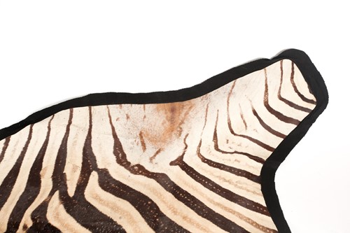 Lot 350 - A large fabric-backed Zebra skin rug with an...