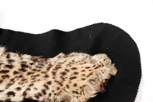 Lot 356 - A fabric-backed Leopard skin rug with an...
