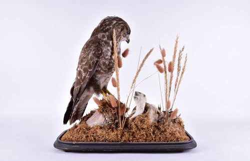 Lot 243 - A Victorian stuffed and mounted, taxidermists...