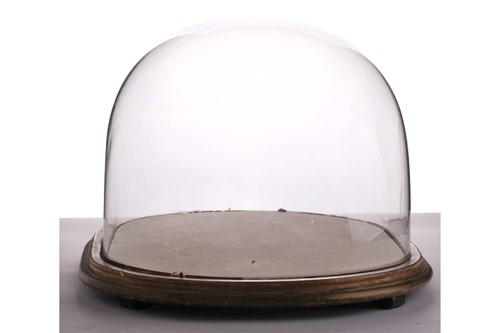 Lot 238 - A large Victorian oval section glass dome on a...