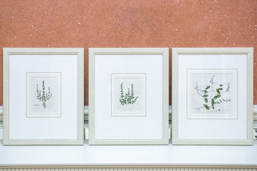 Lot 34 - A set of three early 19th century botanical...