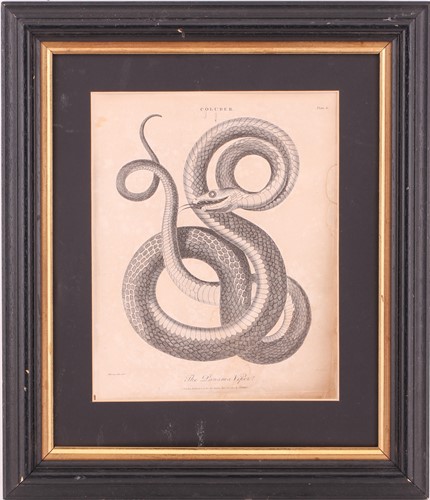 Lot 130 - After J. Wilkes a series of seven copper plate...