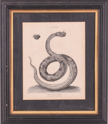 Lot 130 - After J. Wilkes a series of seven copper plate...