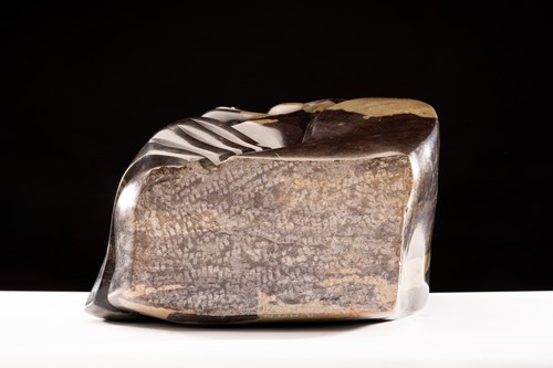 Lot 350 - Richard Mteki (B. 1947 Zimbabwe), Head Study...