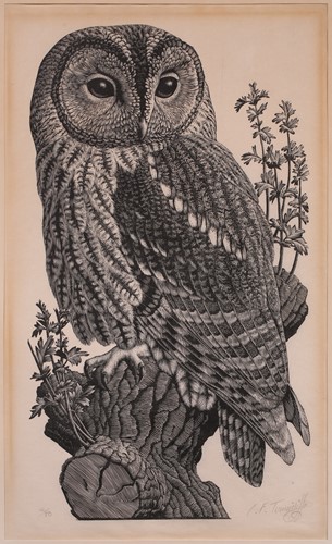 Lot 164 - Charles Frederick Tunnicliffe (1901 - 1979)...