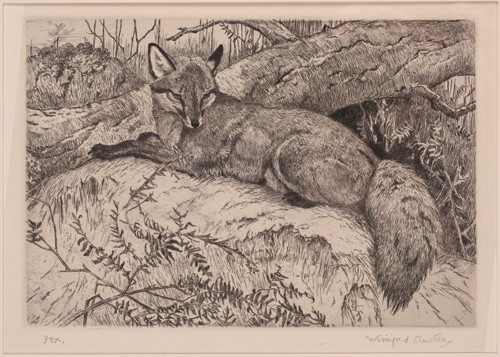 Lot 190 - Winifred Austin (1876 – 1964) 'Fox', etching,...
