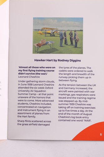 Lot 49 - Rodney Diggins (contemporary), 'Hawker Hart',...