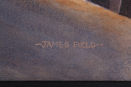 Lot 5 - James Field (contemporary), 'Avro Tutor', oil...