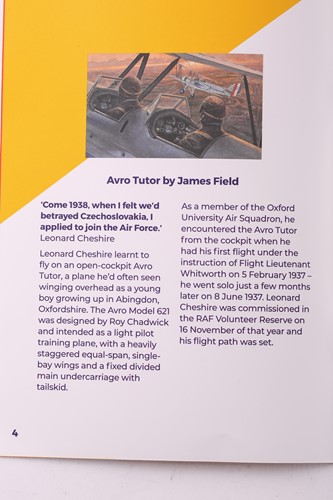Lot 5 - James Field (contemporary), 'Avro Tutor', oil...