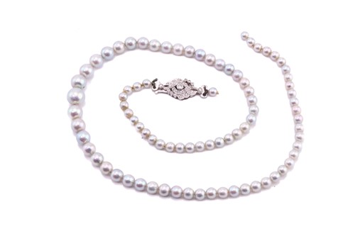 Lot 15 - Two pearl necklaces, comprising a single...