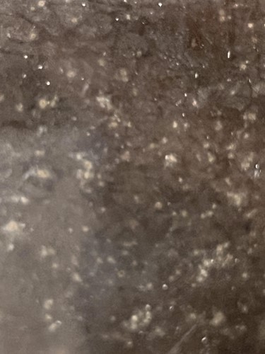 Lot 4 - Late 19th-century British school, portrait of...