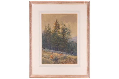 Lot 9 - T.Wall? (20th century), study of a young deer...