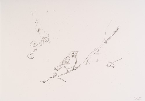 Lot 107 - Tracey Emin (b. 1963), Sam and Jay's birds,...