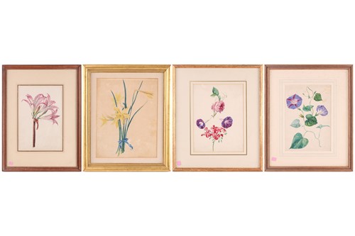 Lot 173 - Emily Stannard (1802 - 1885), 'Flower Studies -...