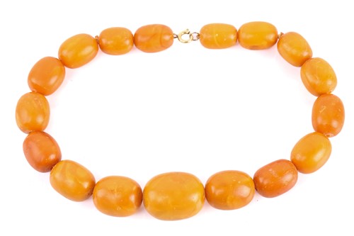 Lot 145 - An amber bead necklace, the opaque amber beads...