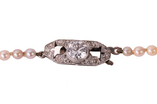 Lot 204 - A single-strand graduated cultured pearl...
