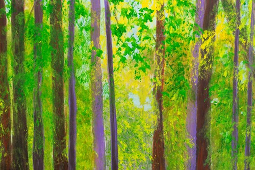 Lot 39 - Gerry Defries (21st Century), 'North End,...