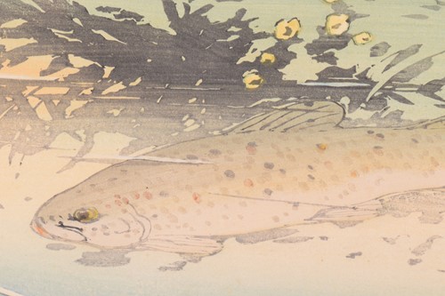 Lot 106 - Allen William Seaby (1867 - 1953), Trout,...