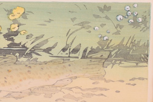 Lot 106 - Allen William Seaby (1867 - 1953), Trout,...