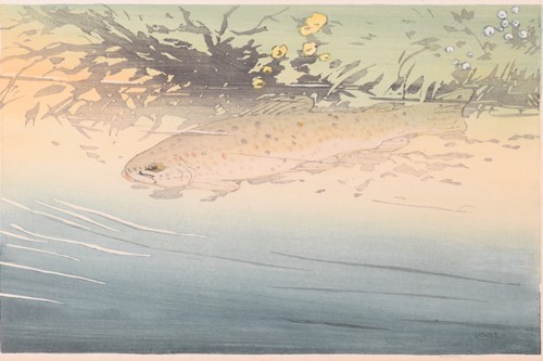 Lot 106 - Allen William Seaby (1867 - 1953), Trout,...