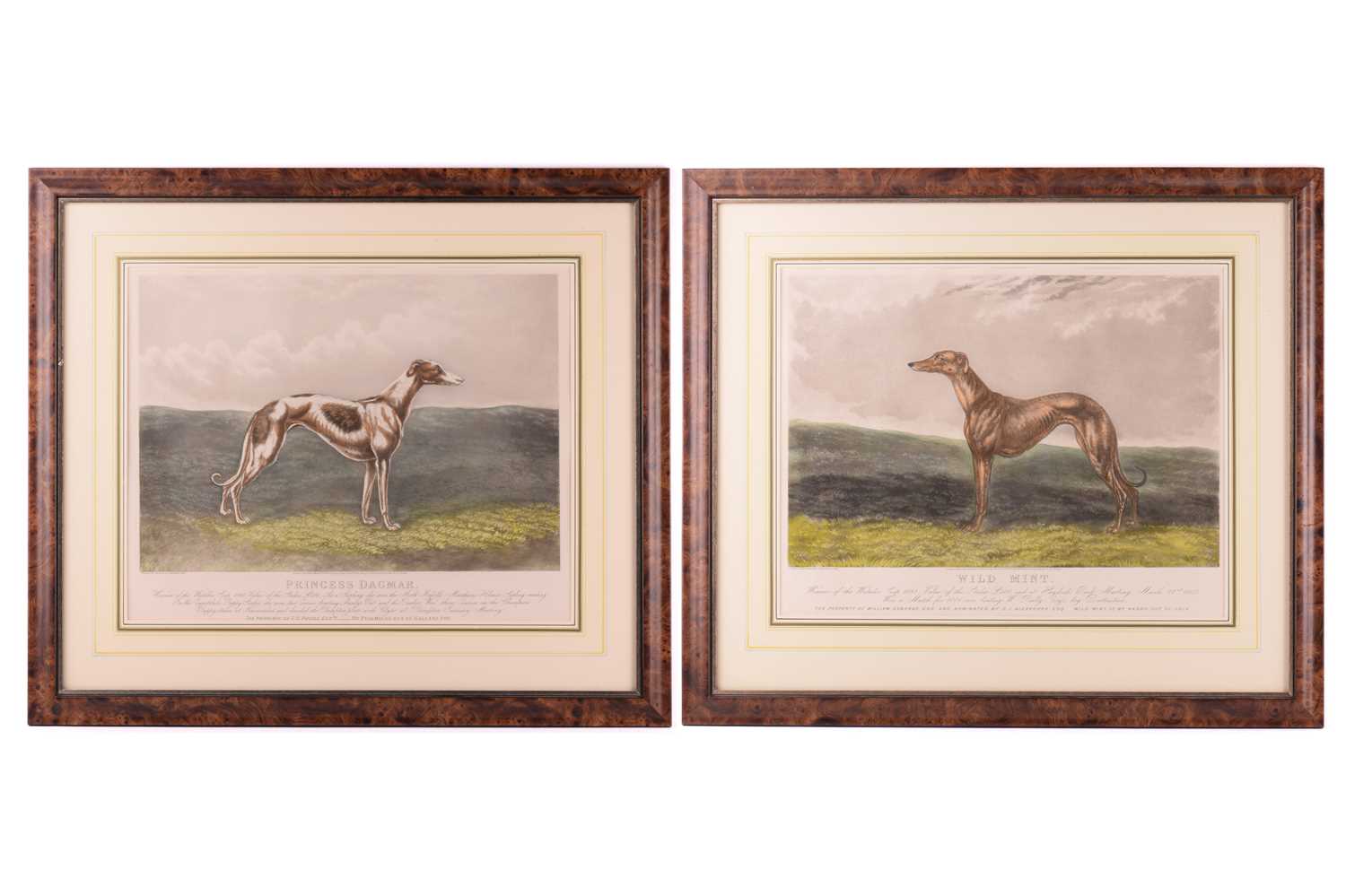 Lot 93 - After Edwin Henry Hunt, a pair of greyhound...