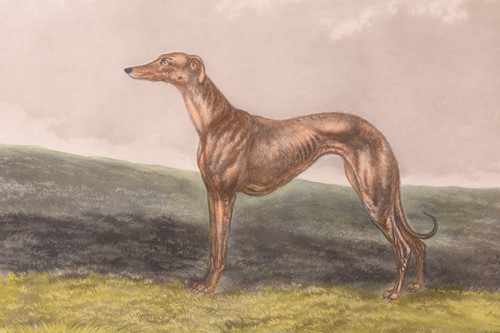 Lot 93 - After Edwin Henry Hunt, a pair of greyhound...