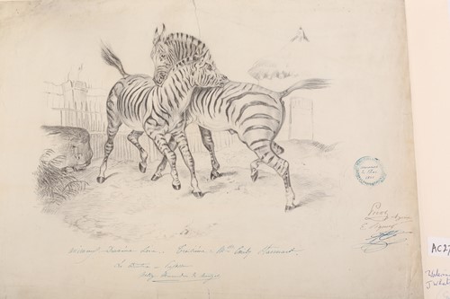 Lot 104 - Emily Stannard (1827-1894) [daughter of Joseph...